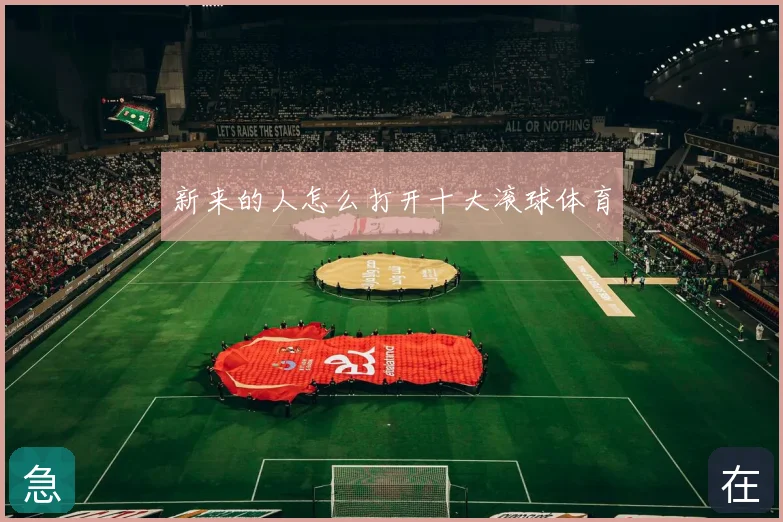 新来的人怎么打开十大滚球体育